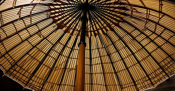 Parapluie personnalisé canne : style et protection sur mesure